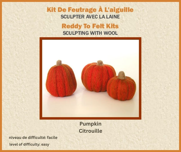 Kit de feutrage à l'aiguille pour mini Citrouilles - Permet de réaliser 3 sculptures