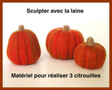 Kit de feutrage à l'aiguille pour mini Citrouilles - Permet de réaliser 3 sculptures